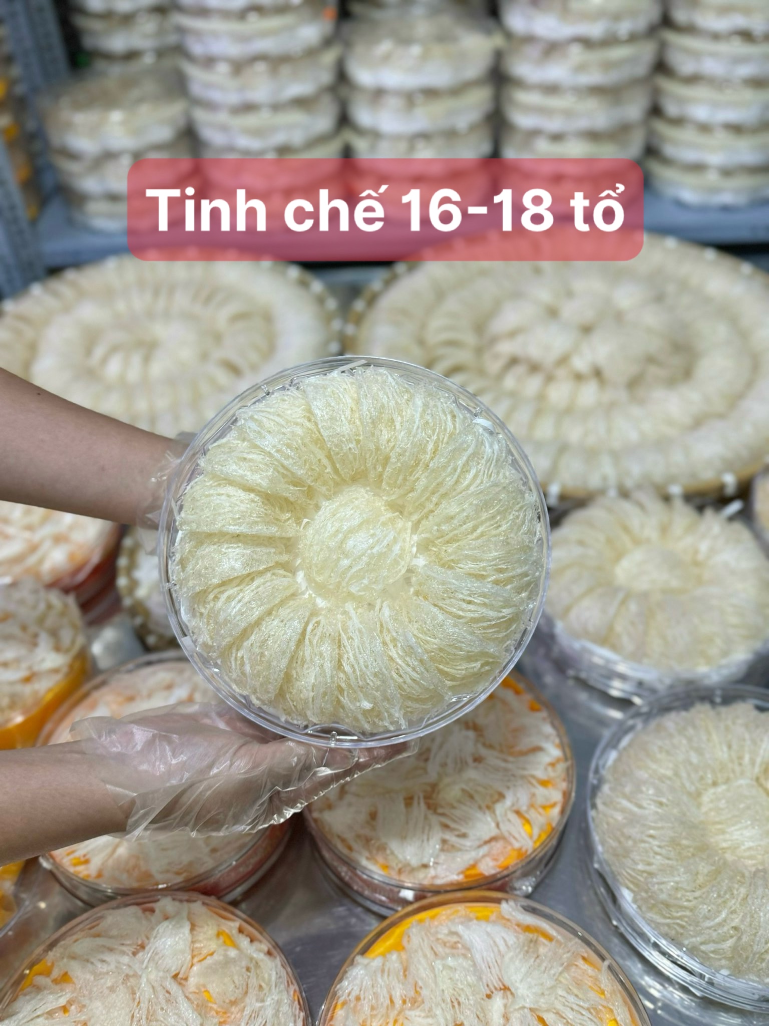 Yến tinh chế 16-20 tổ